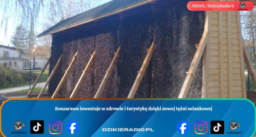 Zdj Poglądowe