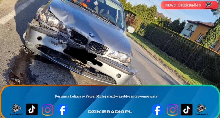 zdjęcie OSP Pewel Mała