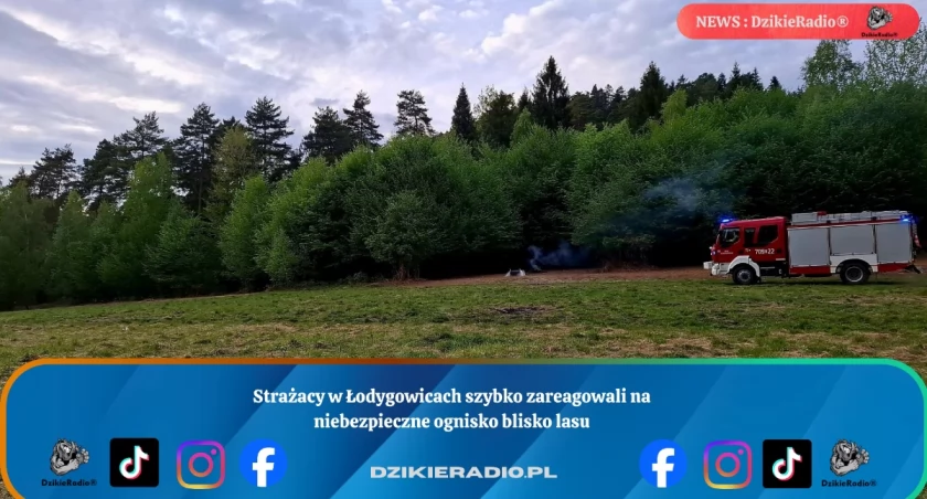 Zdj. Osp Łodygowice