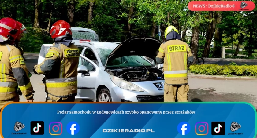 Zdj. Osp Łodygowice