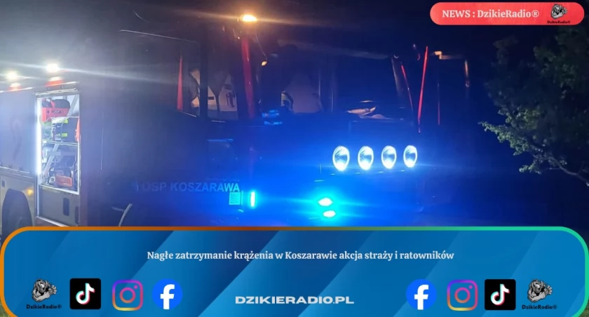 Zdj. Poglądowe Osp Koszarawa