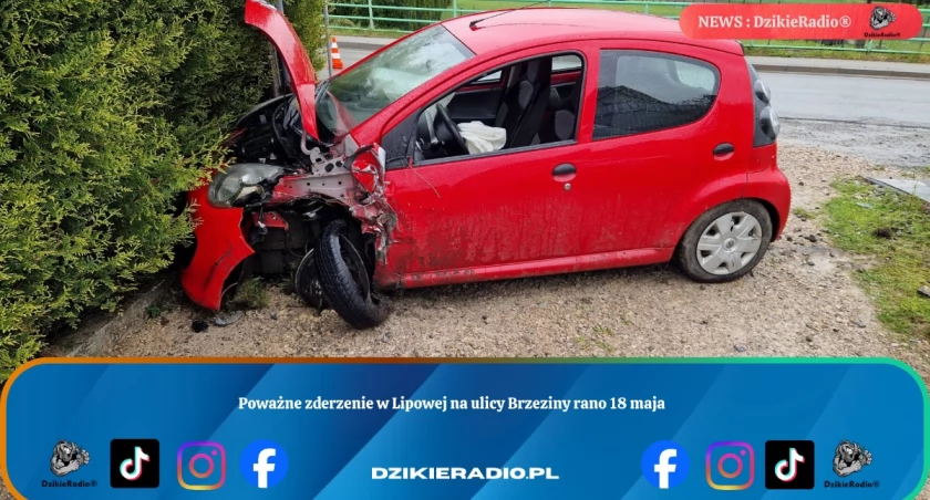 Zdj Osp Leśna