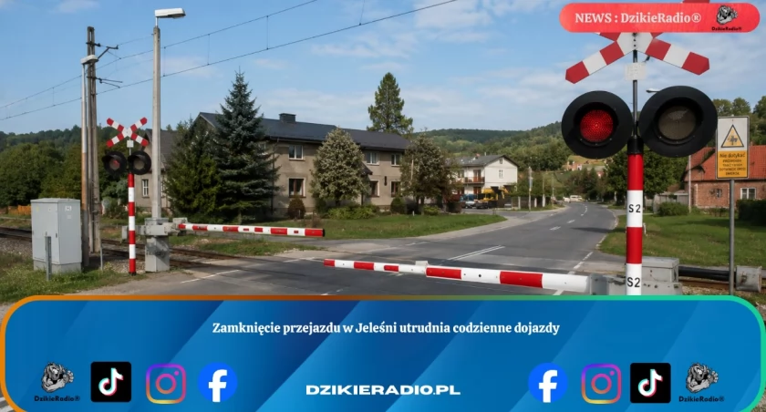 Zdj Poglądowe