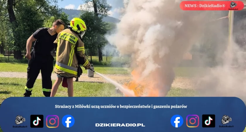 Zdj Szkoła Podstawowa Im Mikołaja Kopernika