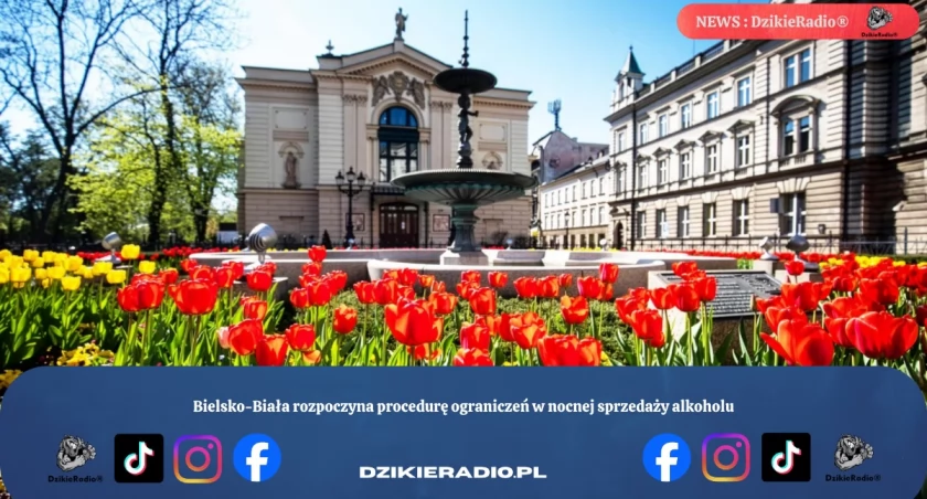 Zdj Urzad Miasta Bielsko Biała