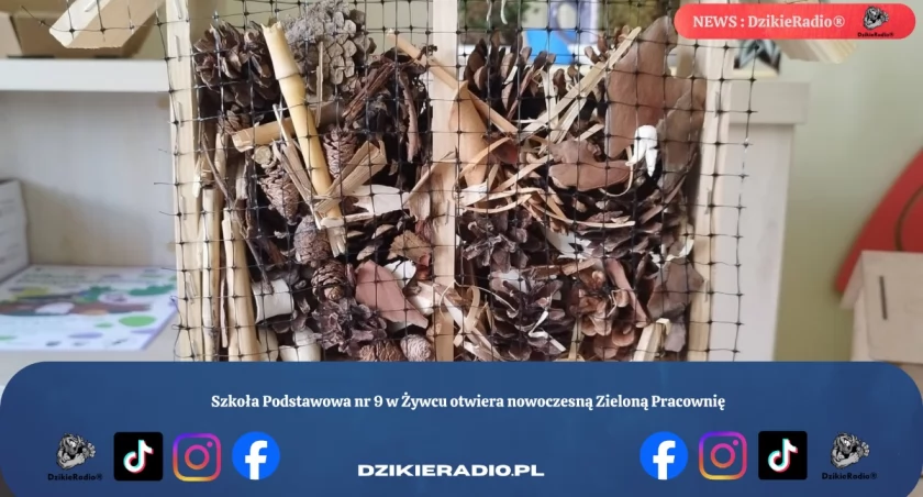 Zdj Szkoła Podstawowa nr 9