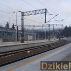 Fotka nr 3 z 19