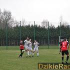 zdjęcie nr 249