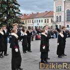 zdjęcie nr 46