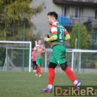 zdjęcie nr 17