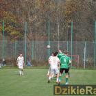zdjęcie nr 97