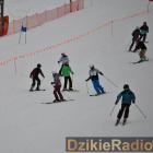 zdjęcie nr 46
