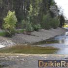 Fotka nr 4 z 6