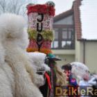 zdjęcie nr 315