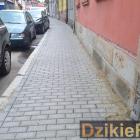 Fotka nr 2 z 6