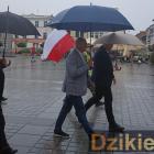 zdjęcie nr 16
