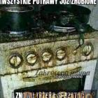 zdjęcie nr 10