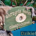 zdjęcie nr 79