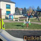 zdjęcie nr 11