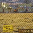 zdjęcie nr 21