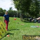 zdjęcie nr 40