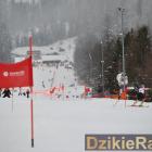 zdjęcie nr 102