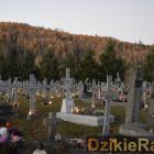zdjęcie nr 43