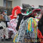 zdjęcie nr 31