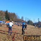 zdjęcie nr 243