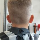 Fotka nr 5 z 12