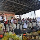 zdjęcie nr 376