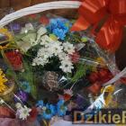 zdjęcie nr 241