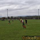 Fotka nr 4 z 8