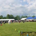 zdjęcie nr 101