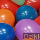 Fot. MCK KLUB ,,Śrubka