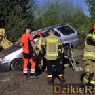zdjęcie nr 17