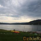 Fotka nr 4 z 53
