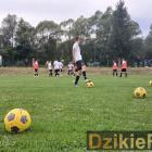 zdjęcie nr 14