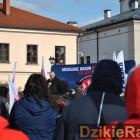 zdjęcie nr 85