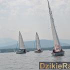 zdjęcie nr 91