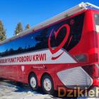 zdjęcie nr 11