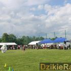 zdjęcie nr 102