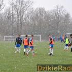 zdjęcie nr 45