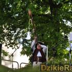zdjęcie nr 47