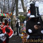 zdjęcie nr 44