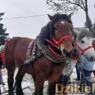 zdjęcie nr 138