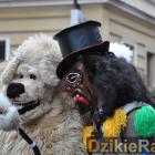 zdjęcie nr 46