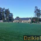 zdjęcie nr 188