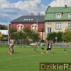zdjęcie nr 7