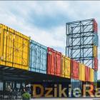 Fotka nr 2 z 3